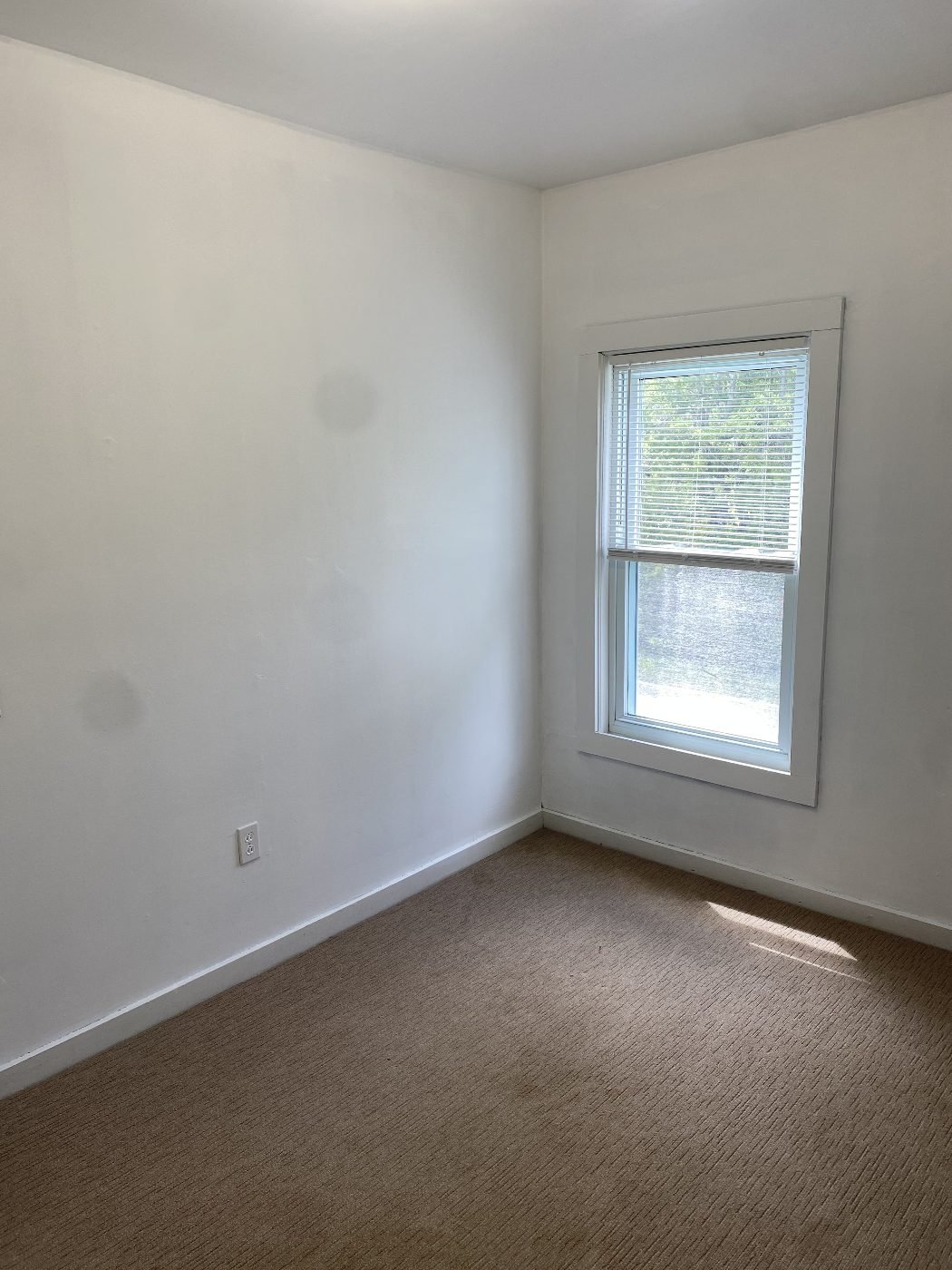Third bedroom with tall window and new carpet