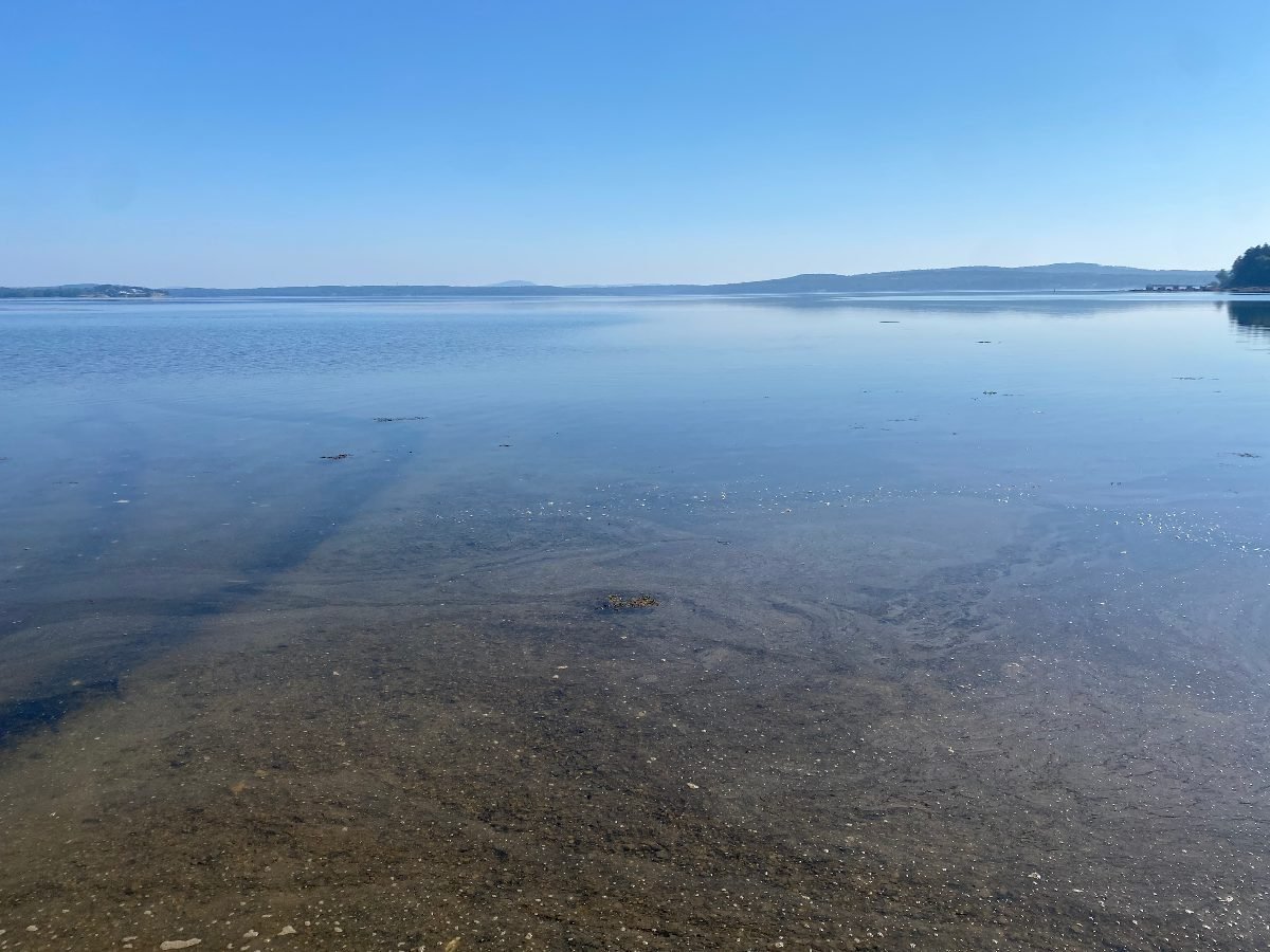 Low tide at Grant's Cove