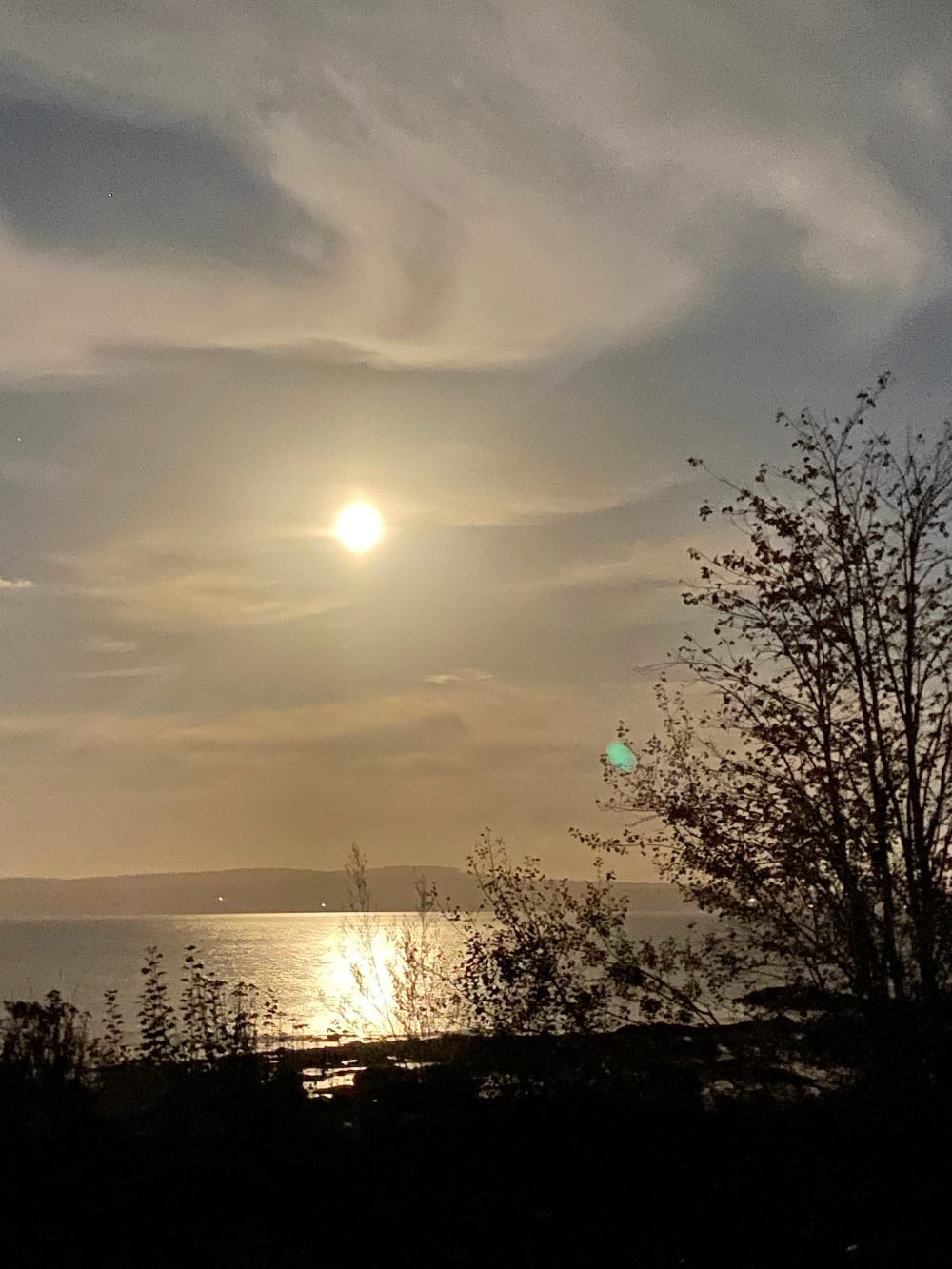 Harvest moon rising over the bay