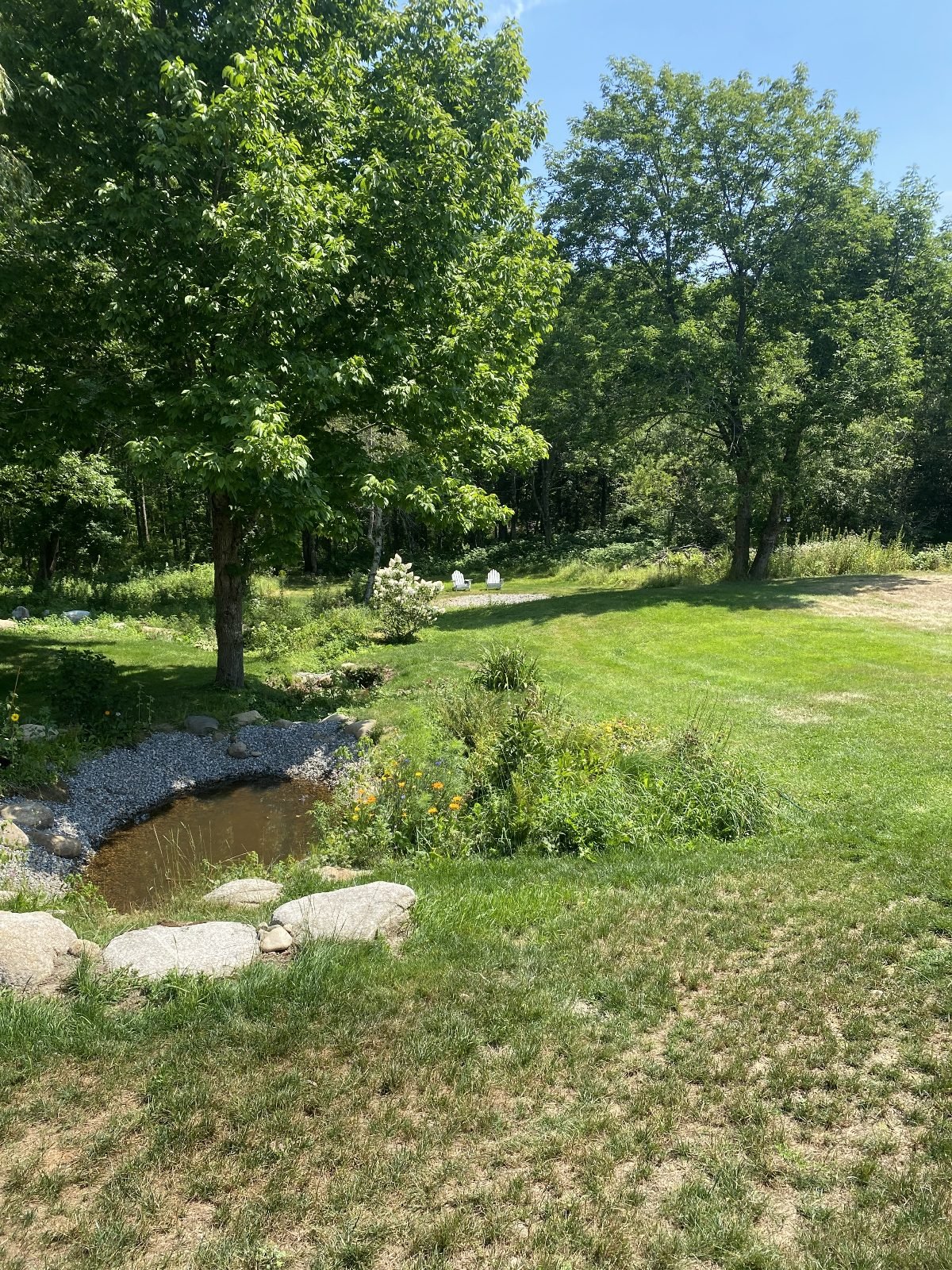 Stream-fed pond and pollinator garden
